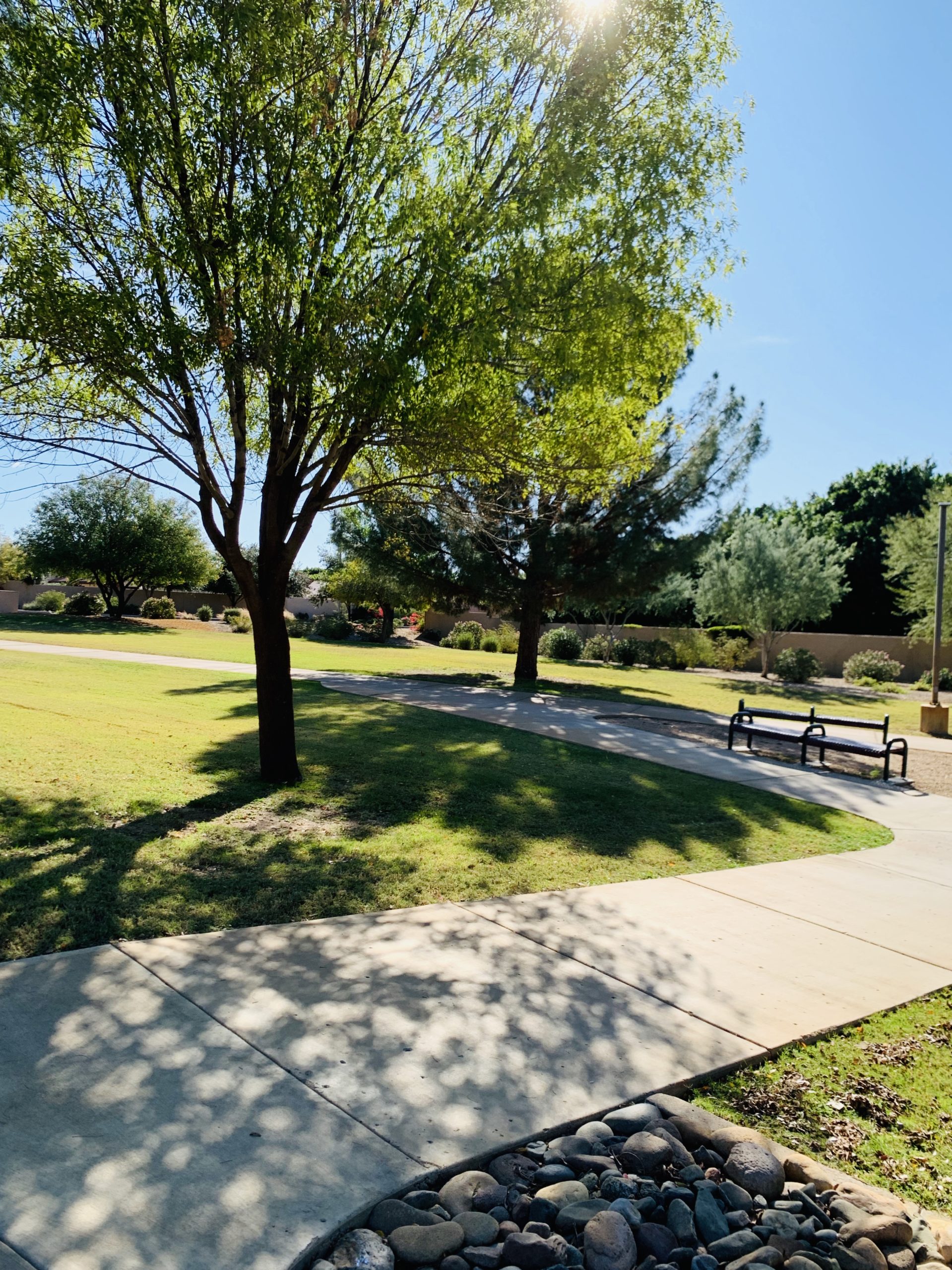 Arrowhead Ranch Community Amenities with The Rigo Team