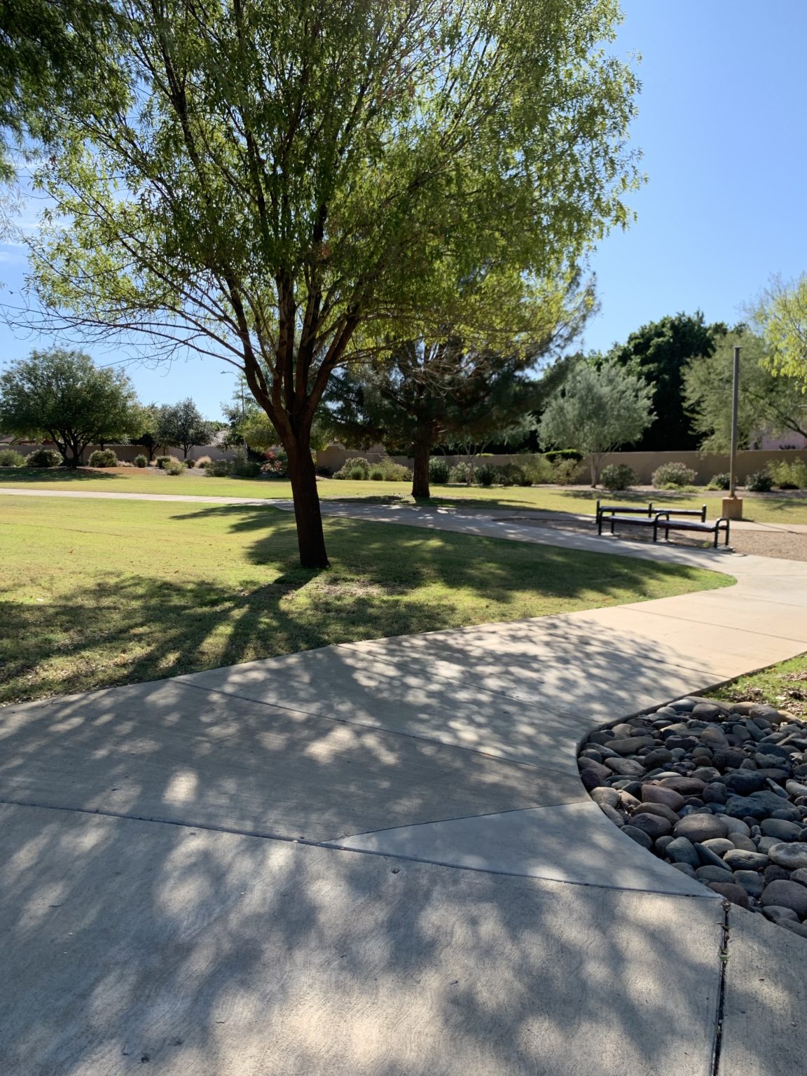 Glendale Arizona Arrowhead Ranch Homes with The Rigo Team